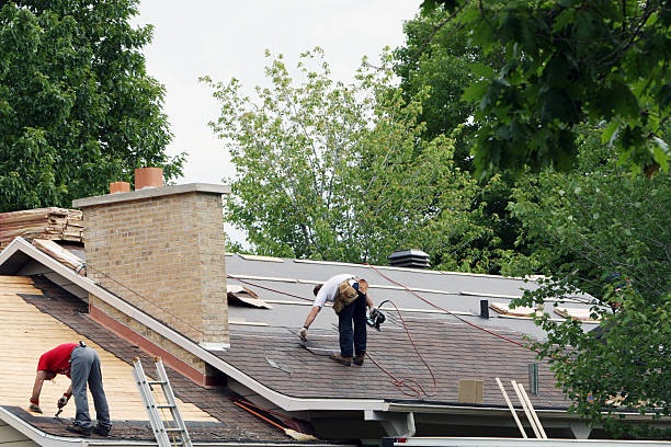 Best Roof Gutter Cleaning  in Cheboygan, MI