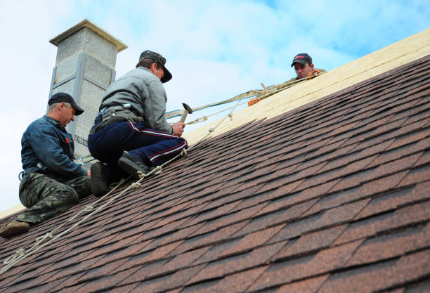 Quick and Trustworthy Emergency Roof Repair Services in Cheboygan, MI